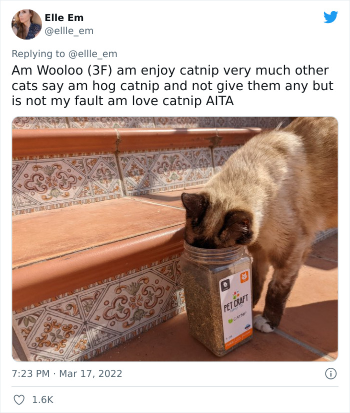Aita-Cats-Twitter-Thread