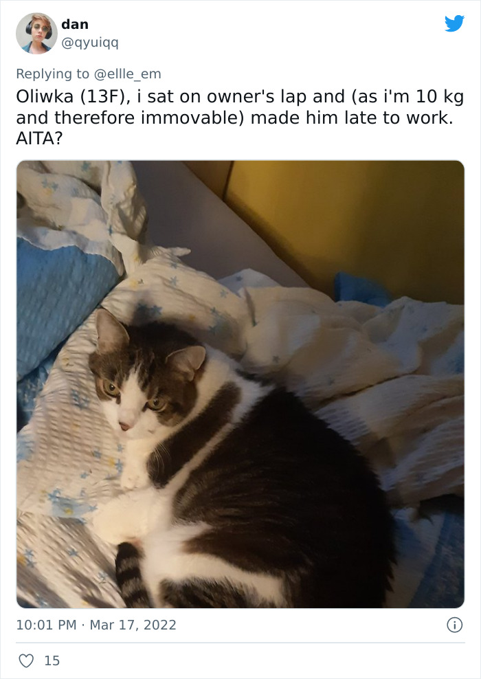 Aita-Cats-Twitter-Thread