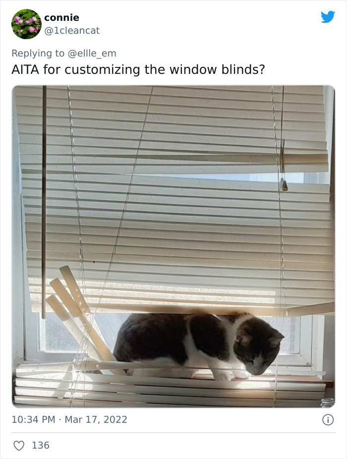 Aita-Cats-Twitter-Thread