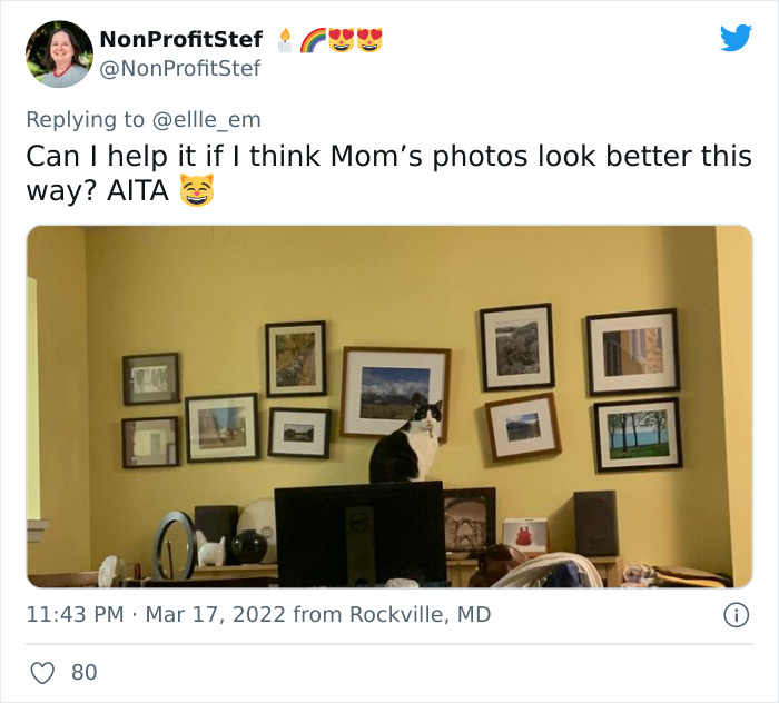 Aita-Cats-Twitter-Thread