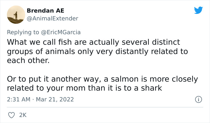 Random-Facts-Bizarre-But-True