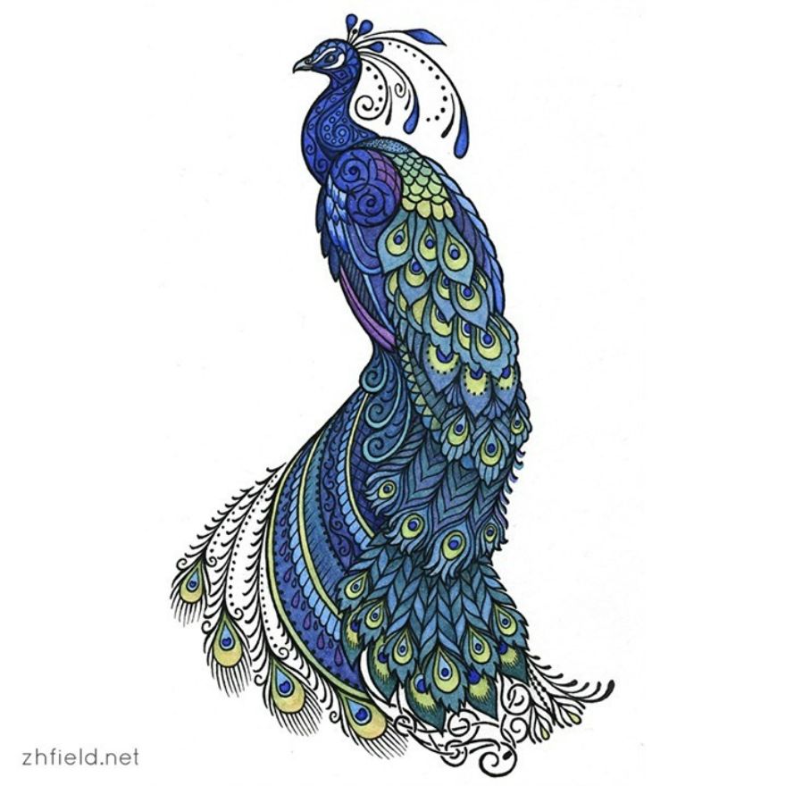 Peacock
