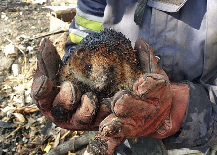 Esta mujer carga con su gato mientras lo consuela ante el sonido de las alarmas de ataque aéreo en Kyiv, Ucrania Esta mujer carga con su gato mientras lo consuela ante el sonido de las alarmas de ataque aéreo en Kyiv, Ucrania