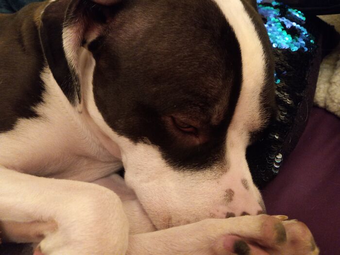 He Is The Only One In This Place That Gets Me