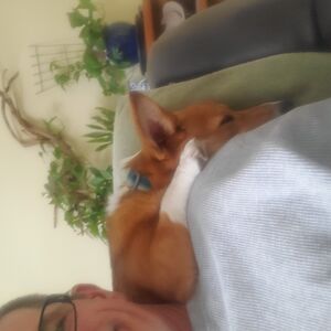 robertmckissick avatar