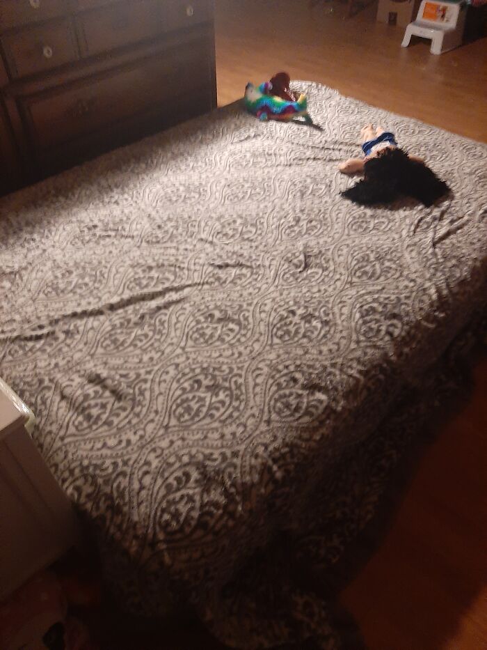 The Mattress We Have In The Middle Of The Living Room