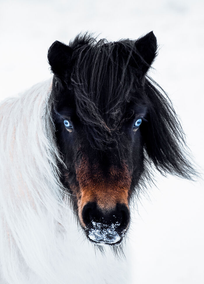 I Moved To Iceland Because Of My Love Of Photography. Here Is My Take On This Little Island.