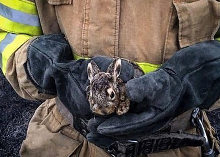 Esta mujer carga con su gato mientras lo consuela ante el sonido de las alarmas de ataque aéreo en Kyiv, Ucrania Esta mujer carga con su gato mientras lo consuela ante el sonido de las alarmas de ataque aéreo en Kyiv, Ucrania