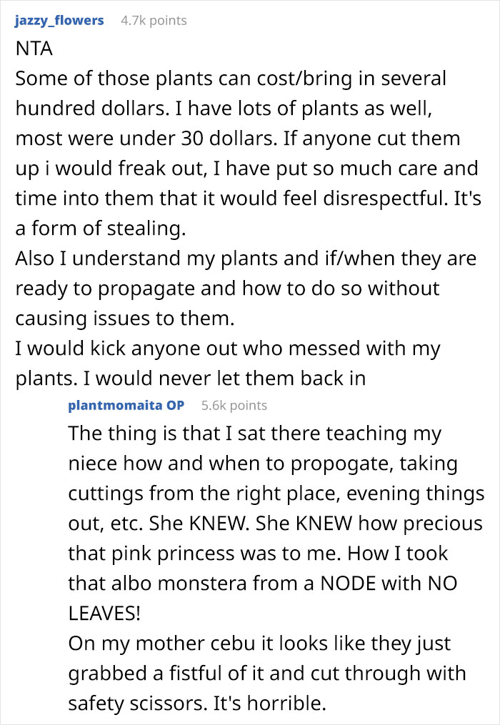 Woman Refuses To See Her Niece And Sister-In-Law After They Trim Her Houseplants And Sell The Cuttings On Marketplace