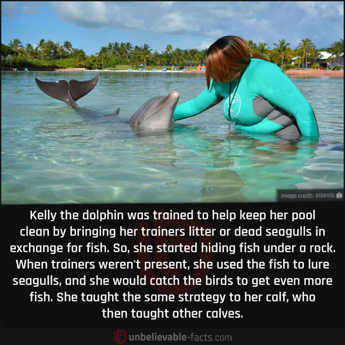 Interesting-Unbelievable-Facts