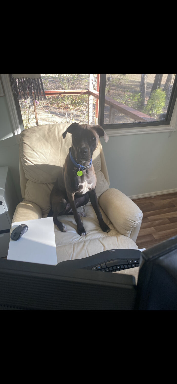 Went To The Kitchen To Make A Coffee And Came Back To This