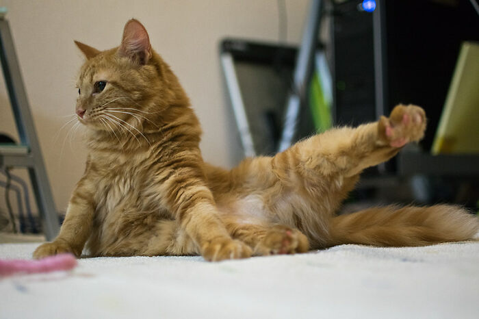 In Honor Of World Sleep Day, Here Are 30 Tips For Falling Asleep Easily, Shared By Users Of This Online Group