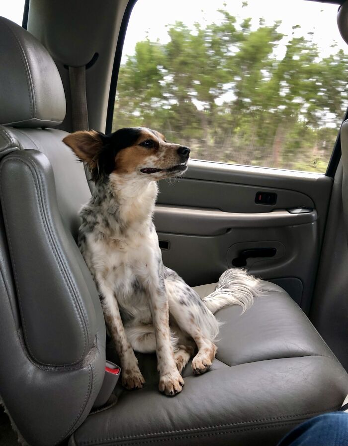 My Old Grouch Enjoying Her Life