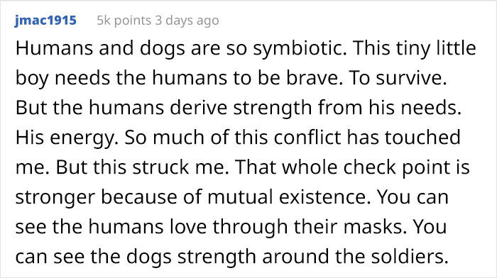 Puppy Rescued By Ukrainian Soldiers Becomes A Trusty Watchdog