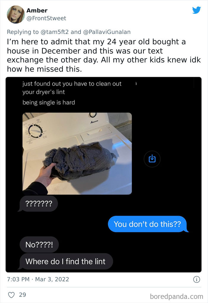 Stupid-Things-People-Have-Done-Said