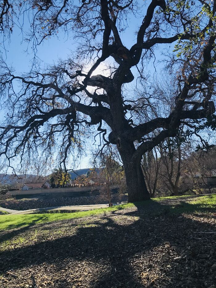 Technically In January But Still Really Pretty! California Weather Doesn’t Change Much Lol