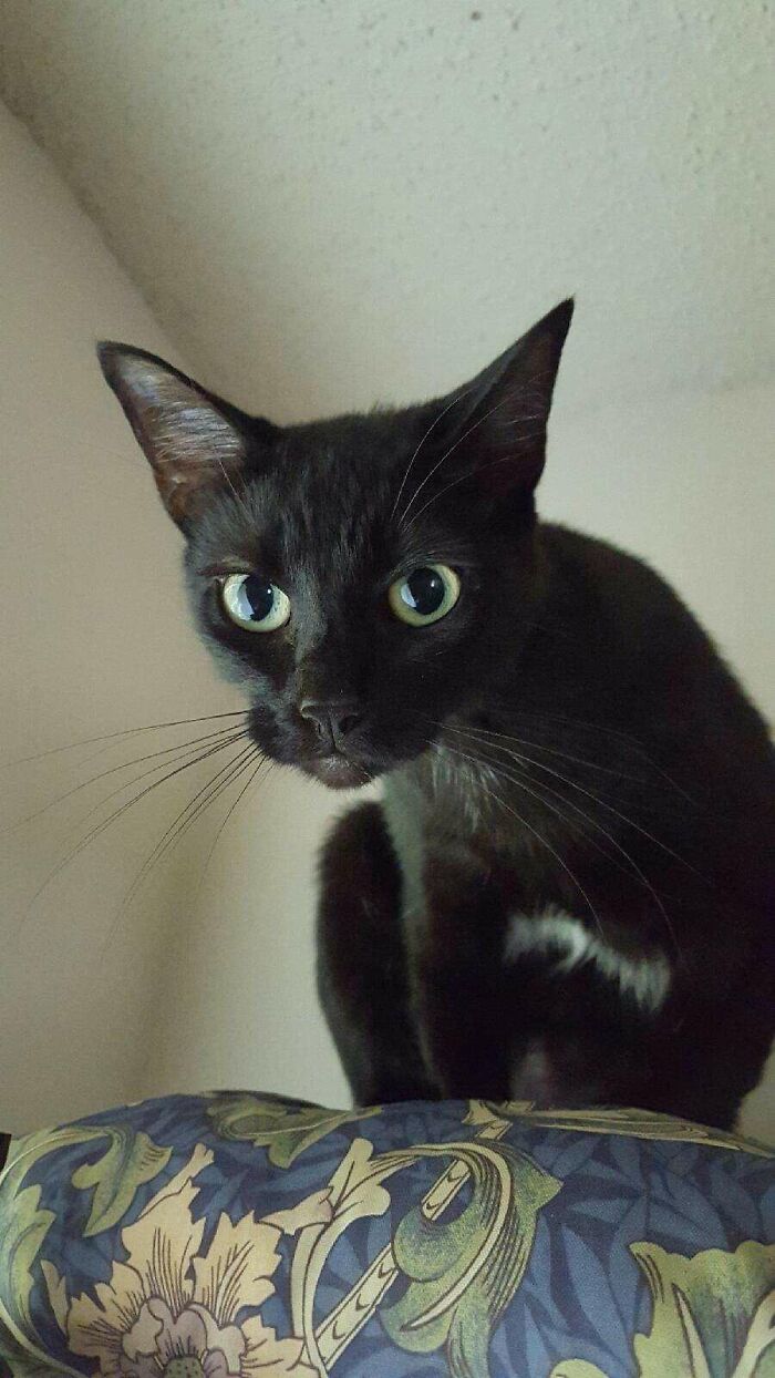 Ummmm.. Did I Hear A Food Can Pop?