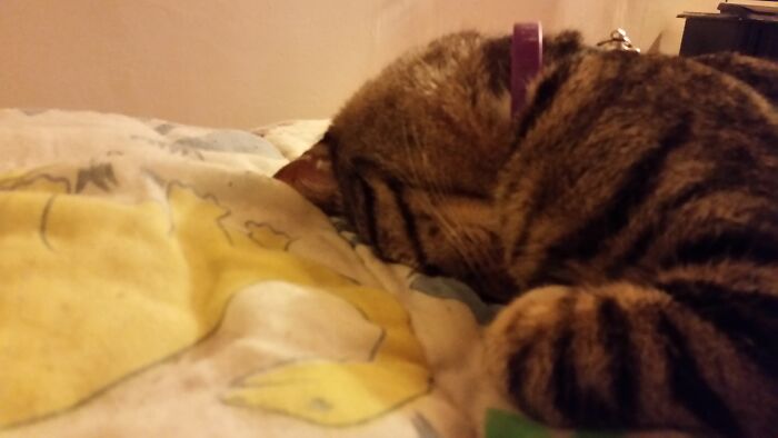 Sleeping On His Head