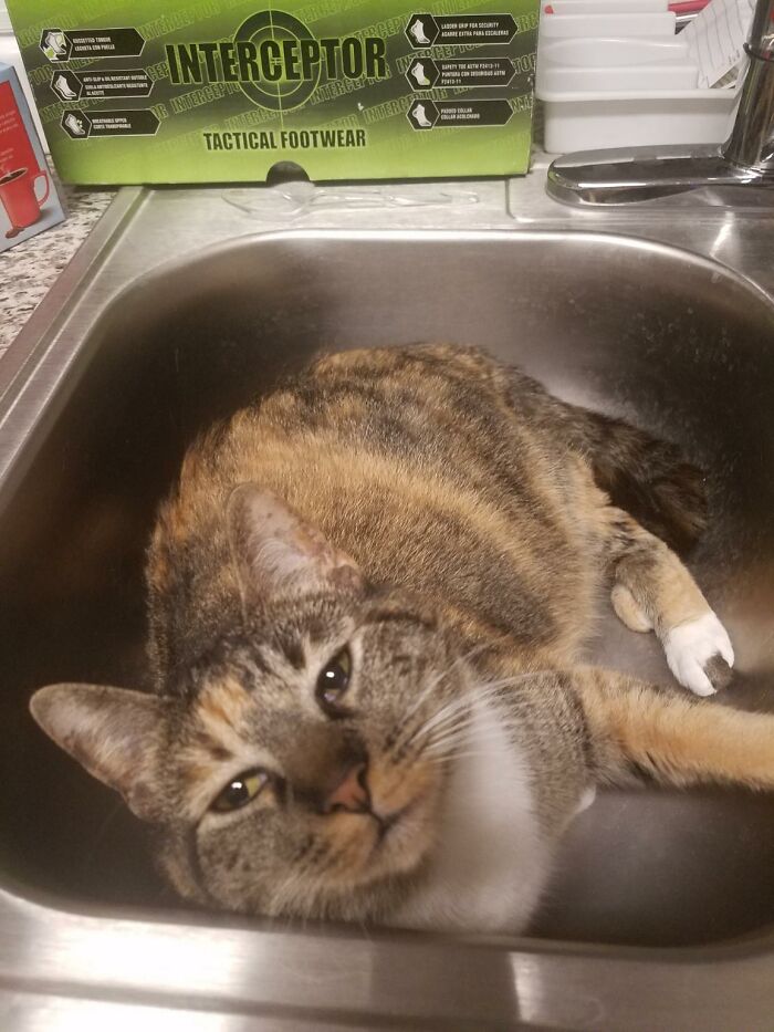 The Dishes Are Dooone Man!