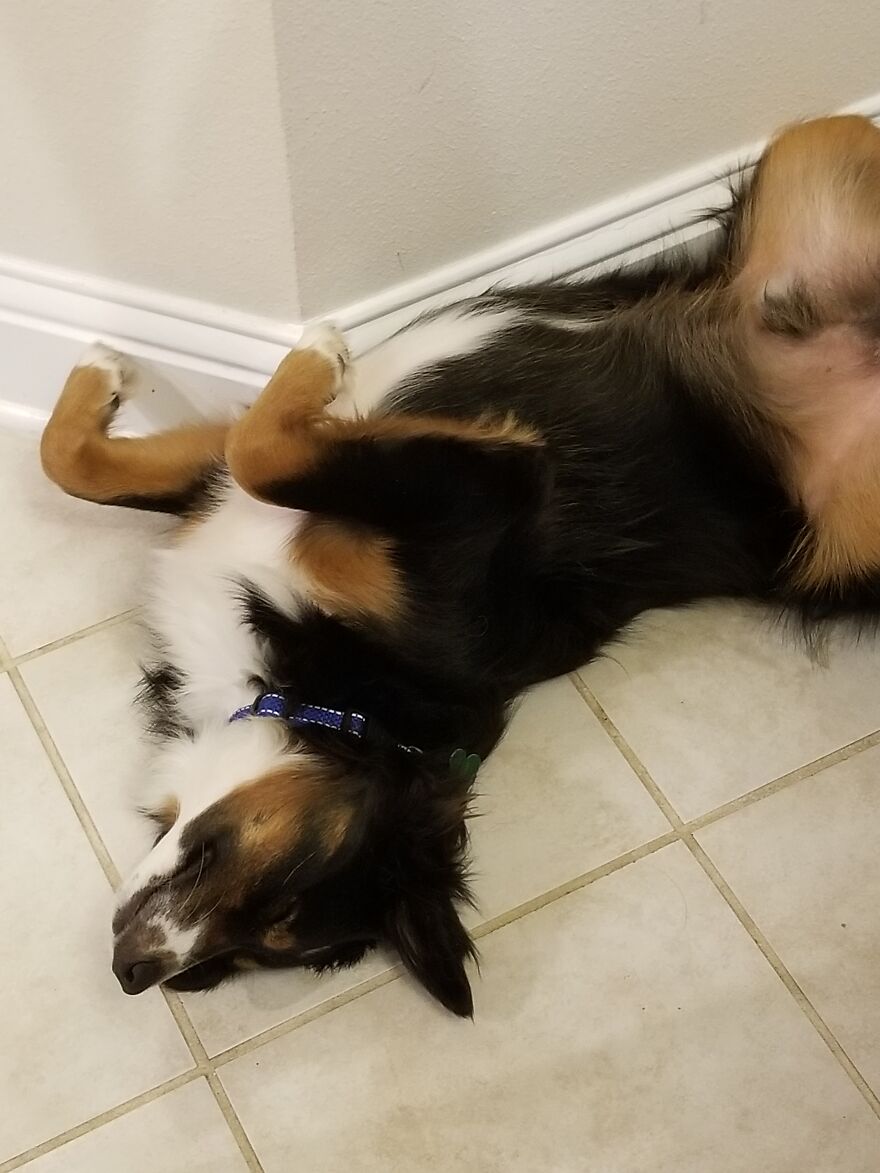 I Thought He Was Dead