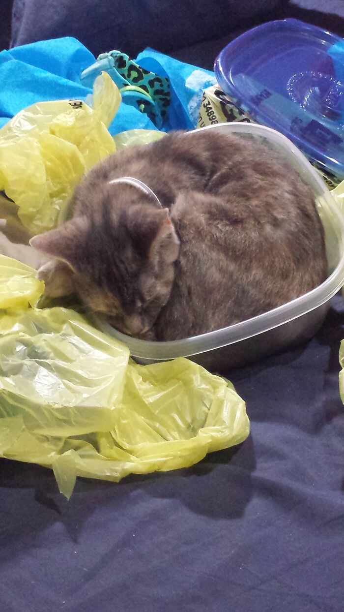 Well...i Had A New Bowl...