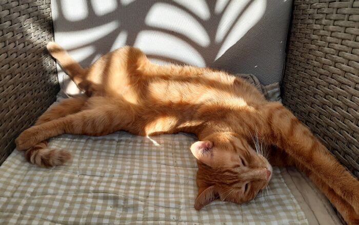 Usual Way Of Sleeping😍