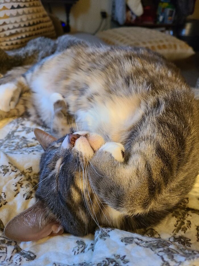 Deep Thoughts With Vesper