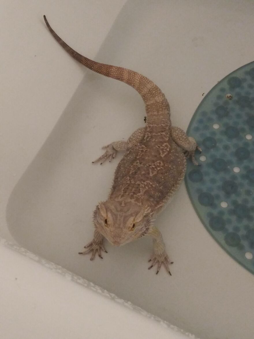 I Just Love Her Face Here 🥺