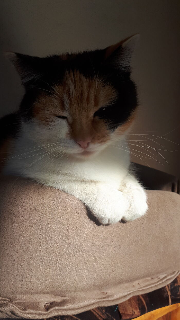 She Disapeared Last April. We Say She's Gone In Egipt And Still Hope To Have Her Back.