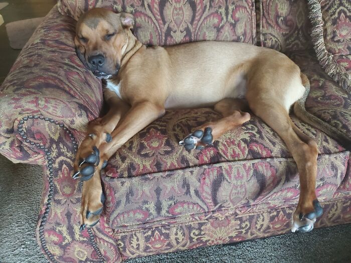 My Man, Carl, With His Long Legs. Love This Dude!