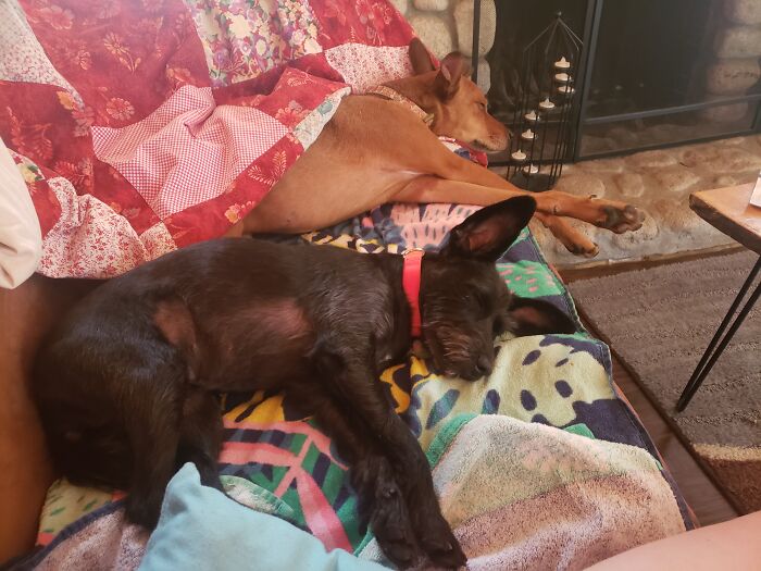 Napping After Playing Outside During Vacation