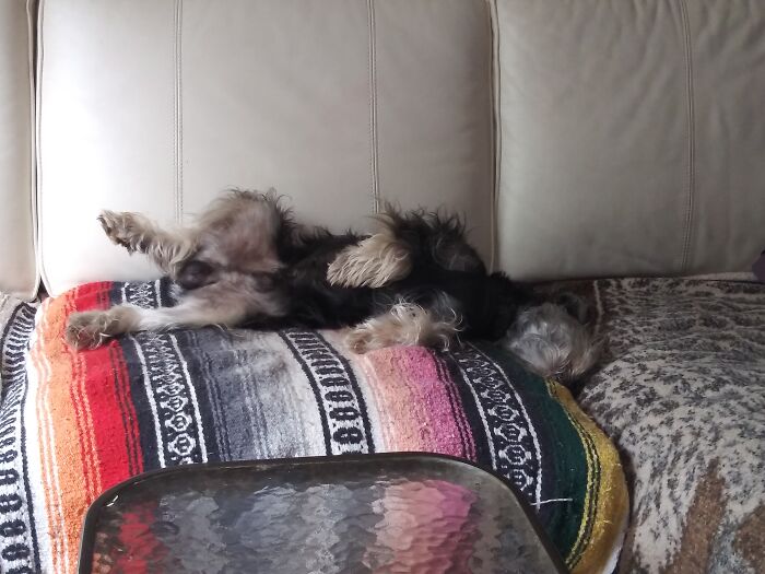 Norman Out Like A Light