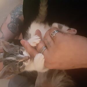 rosalindrobinson avatar