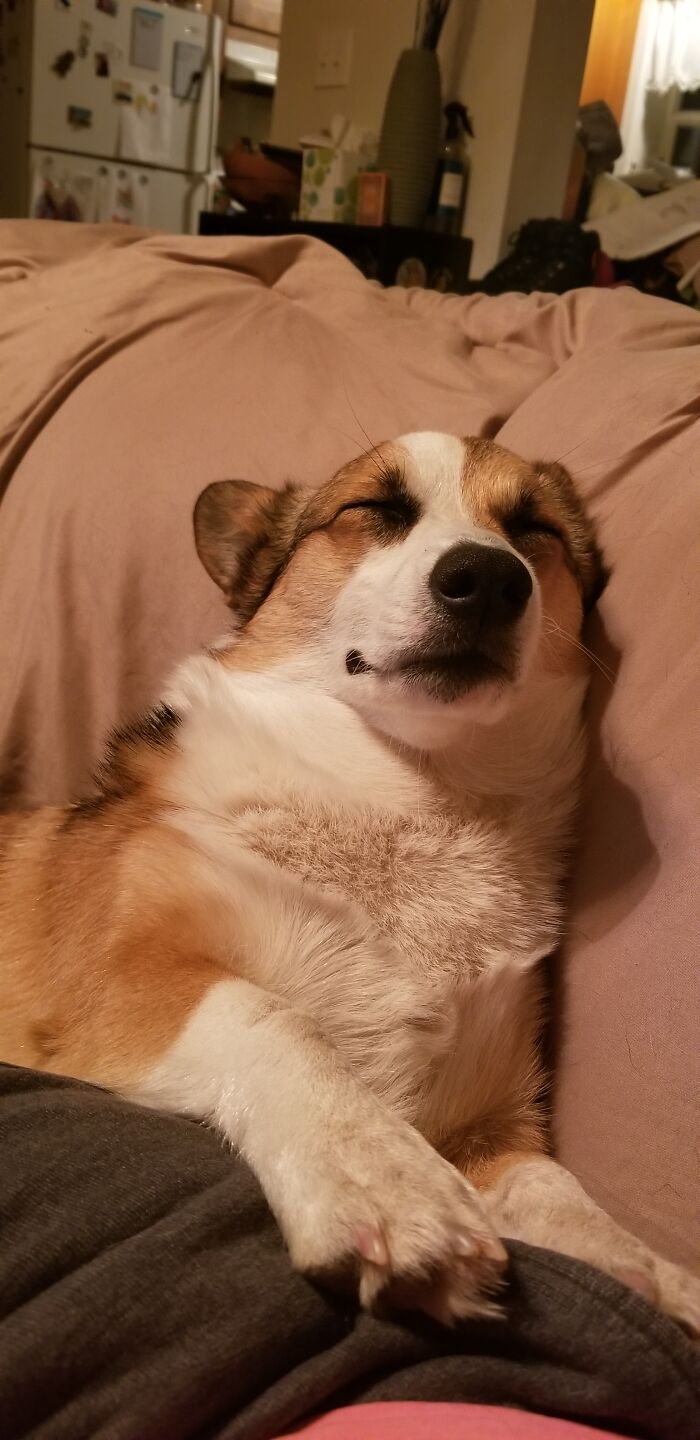 She Sleeps Sitting Up.