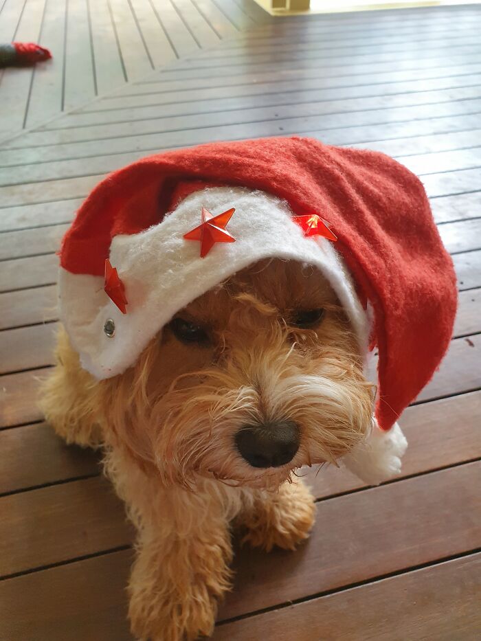 One Of Them Wasn't Very Impressed