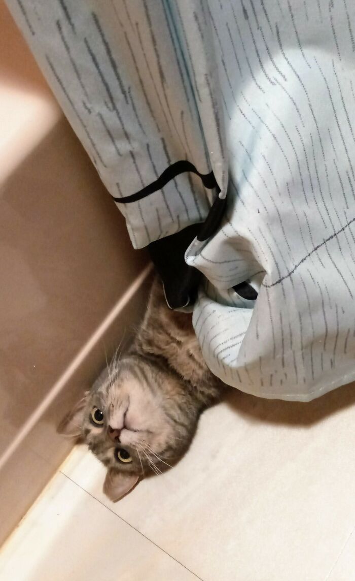 Why Can't I Have Nice Things