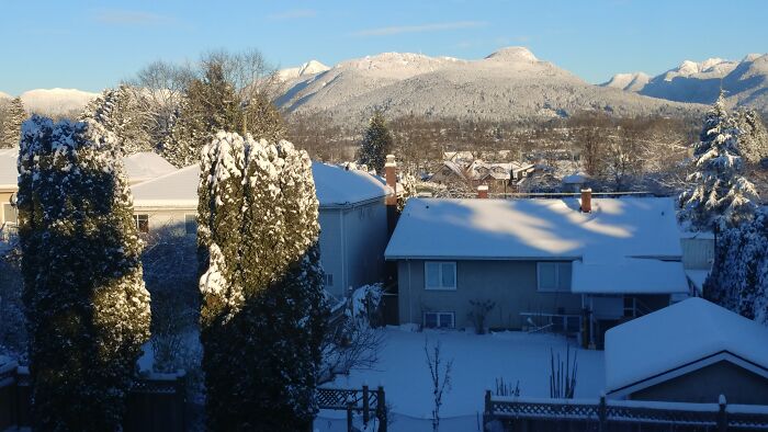 Views Like This While I Work