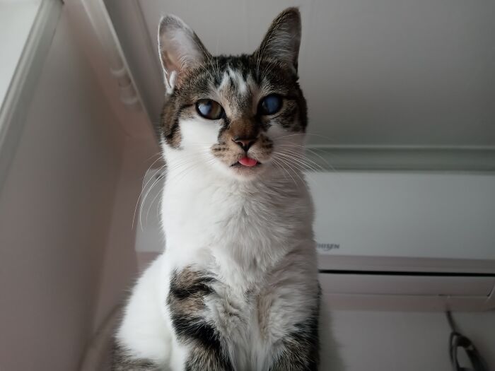 This Lady Always Forgets To Pull Her Tongue Back