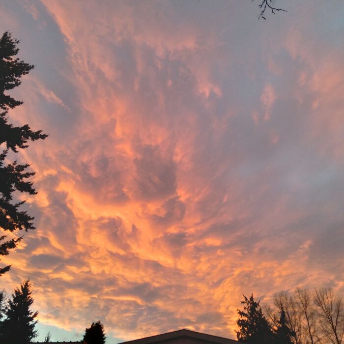 Sunset In Everett, Washington. January 2022 Taken While Walking Home The Store!