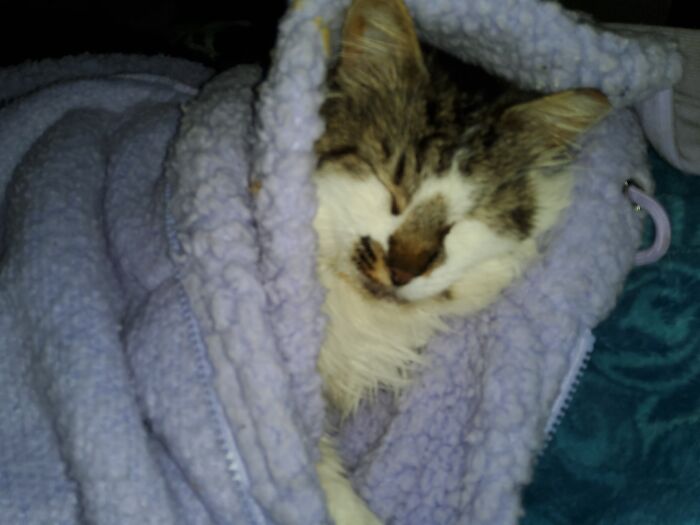 Tildy, Really Asleep This Time