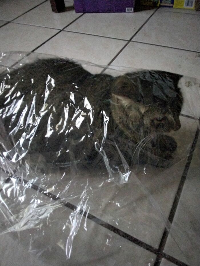 She Wanted To Be Bread