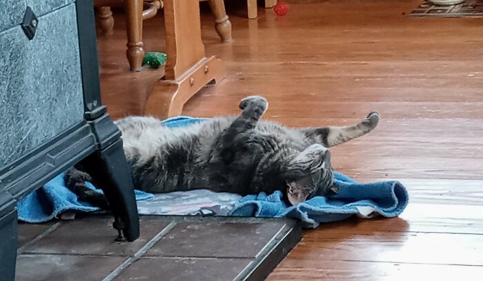 Pippi Practicing The Backstroke In Her Sleep...