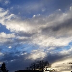 rainbowhearts avatar