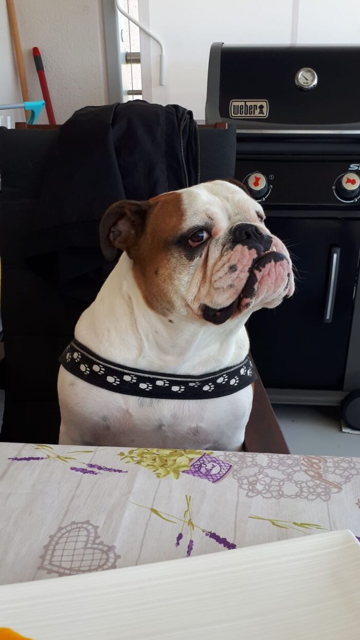 "I Make You Laugh? I’m Here To F***in’ Amuse You? What Do You Mean Funny, Funny How? How Am I Funny?”