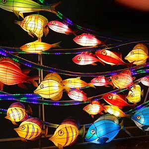 mimivermeeren avatar