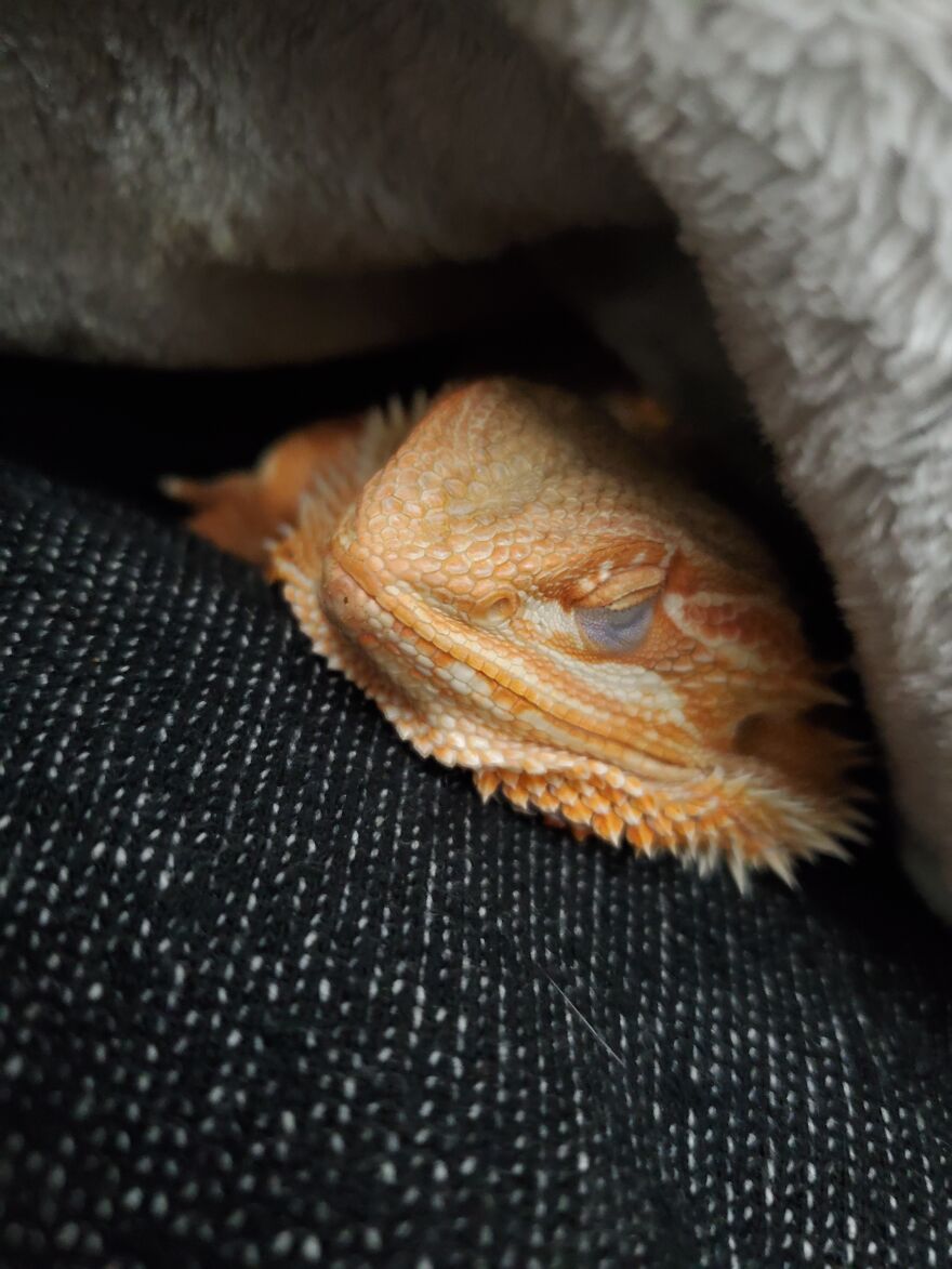 Someone's Sleepy 😴