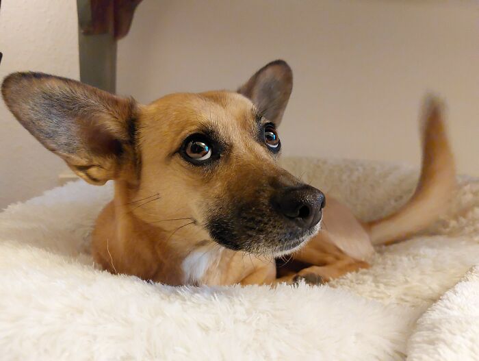 The Faster The Wag, The Closer To Home