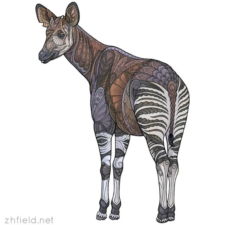 Okapi