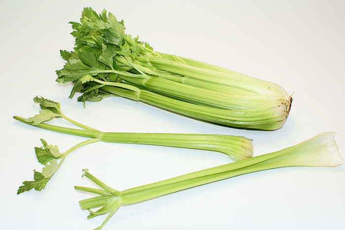 Fresh celery stalks and leaves displayed on a white surface representing some of the most inedible foods.