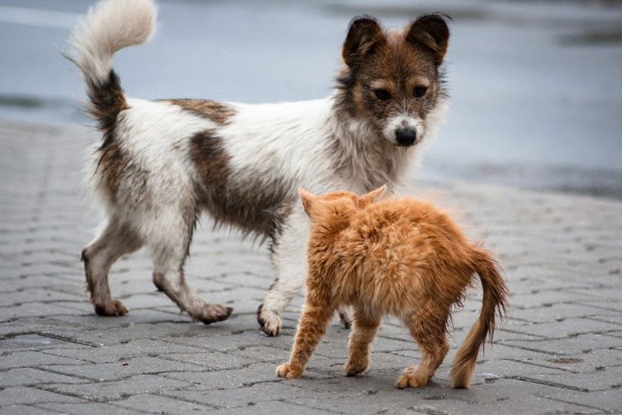 20 Ex-indigentes comparten sus reglas y códigos no escritos que la mayoría de la gente desconoce